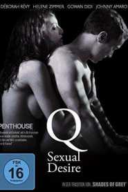 Q Desire (2011) Unofficial Hindi Dubbed