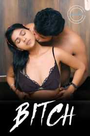 Bitch Nuefliks Hindi