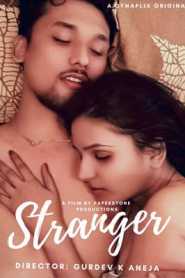 Stranger DynaFlix Hindi