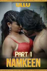 Namkeen Part 1 2021 Hindi Complete