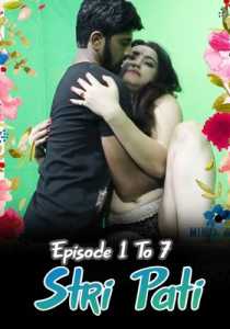 Stri Pati 2022 MinixMovies Hindi Episode 1 To 7
