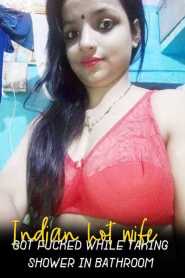 Indian hot wife got fucked while taking shower in bathroom