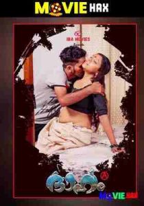 Dhaham 2021 Hindi Ibamovies