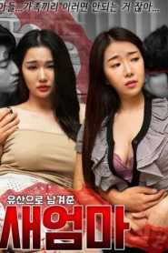 Stepmother Left As A Legacy (2022) Korean