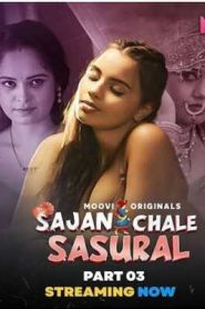 Sajan Chale Sasural Part 2 Moovi Hindi